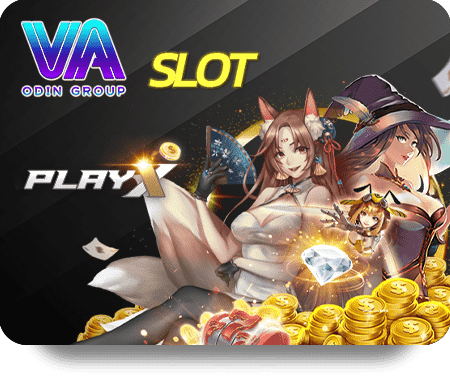 KUWIN Live Dealer Hot Gameplay Review and Insights